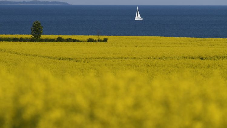 Der Sommer bleibt uns erhalten.