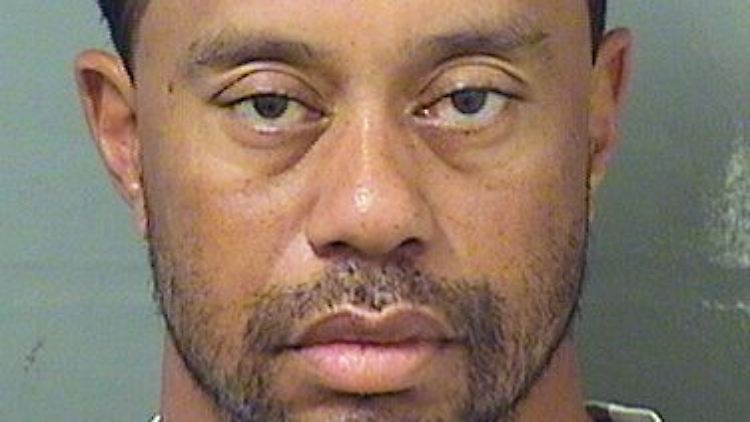 Tiger Woods, wie er auf dem Polizeirevier aussah.