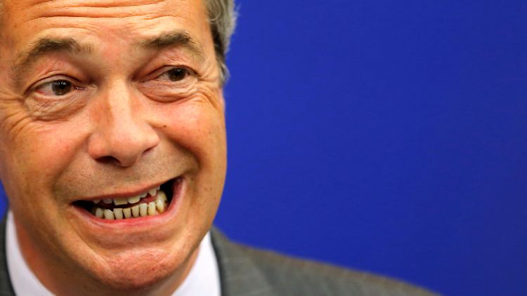 Nigel Farage kämpfte mit seiner Ukip jahrelang für den Brexit.