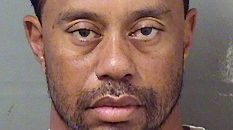 Tiger Woods begründet den Vorfall mit einem Mix aus Medikamenten.