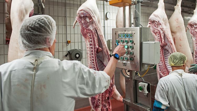 In vielen Betrieben der Fleischindustrie hat sich bereits etwas getan. Doch die Behörden haben kaum Möglichkeiten zu kontrollieren, welche Firmen sich an die freiwillige Selbstverpflichtung halten.