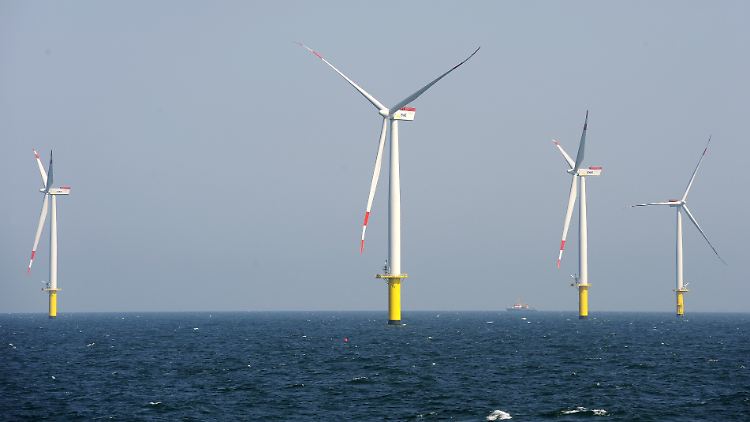 Oft werden Kies und grobe Steine an die Fundamente der Windkraftanlagen geschüttet. Das könnte dem Hummer gefallen.