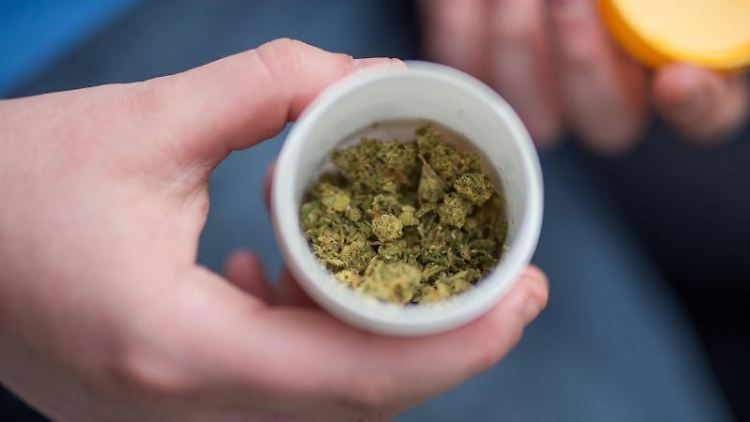 Das Gesetz "Cannabis als Medizin" ist am 10. März in Kraft getreten.