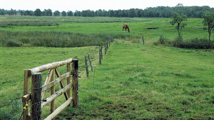 Das Dosenmoor bei Großharrie steht schon seit 1978 unter Naturschutz - Bauer Till findet das nicht gut.