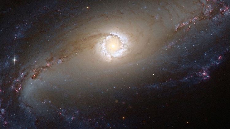 Der Weiße Zwerg ist 5000 Lichtjahre von uns entfernt.