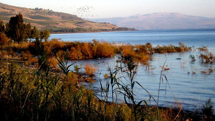 Der See Genezareth ist für viele Urlauber ein Höhepunkt ihrer Israelreise.jpg