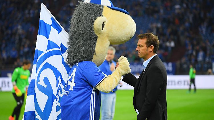 Nach nur einem Jahr ist die Zeit für Trainer Markus Weinzierl auf Schalke wieder beendet.