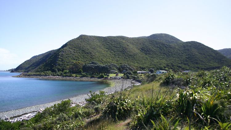 Die Kapiti-Insel befindet sich etwa 8 Kilometer vor der Westküste des südlichen Teils der Nordinsel Neuseelands.