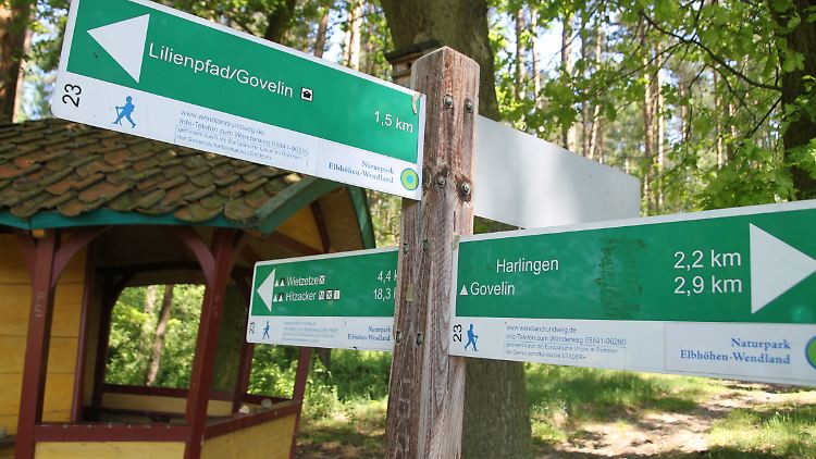 Die Verbrechen in dem Waldgebiet beschäftigen die Menschen dort seit Jahrzehnten.