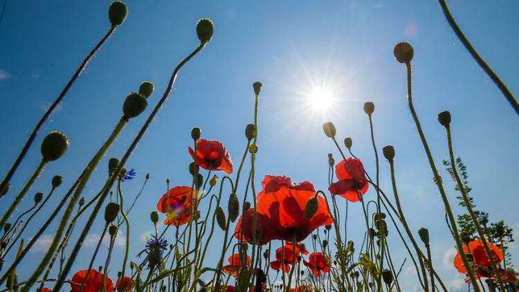 Wochenende überstehen und dann wird es wieder warm.