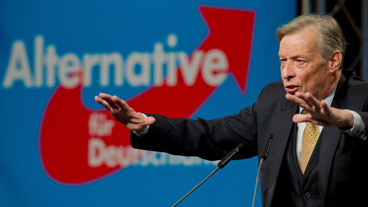 Der AfD-Landesvorsitzende Paul Hampel.