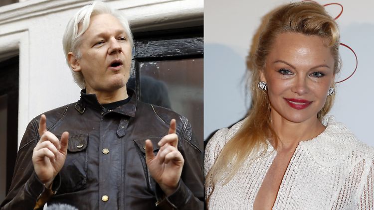 Julian Assange und Pamela Anderson sollen ein Paar sein.