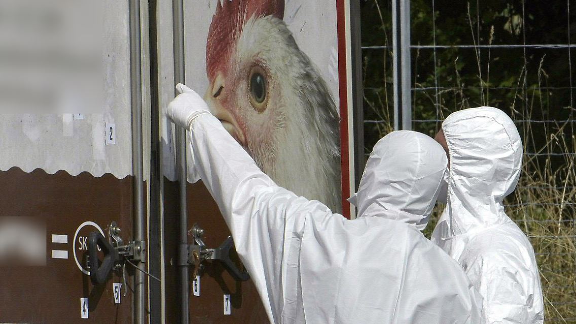 Forensiker untersuchen den Todes-Laster.
