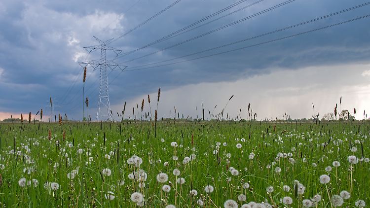In Norddeutschland droht eine Unwetterfront mit viel Regen.