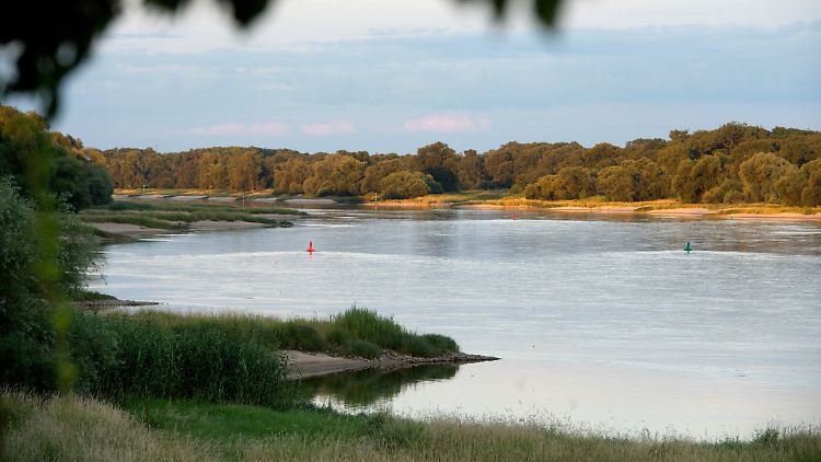 Die Elbe bei Brambach (Sachsen-Anhalt).
