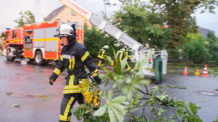 Vielfach brachen Äste ab oder stürzten Bäumen um - hier in Havighorst in Schleswig-Holstein.