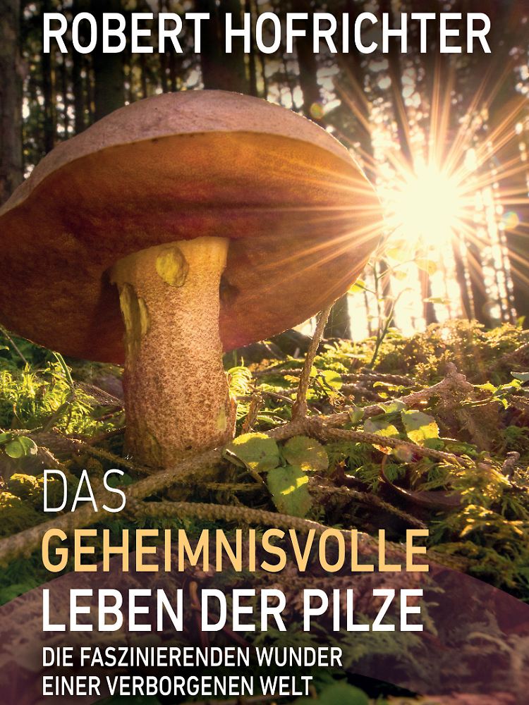 Die gebundene Ausgabe ist im Gütersloher Verlagshaus erschienen und kostet 19,99 Euro.