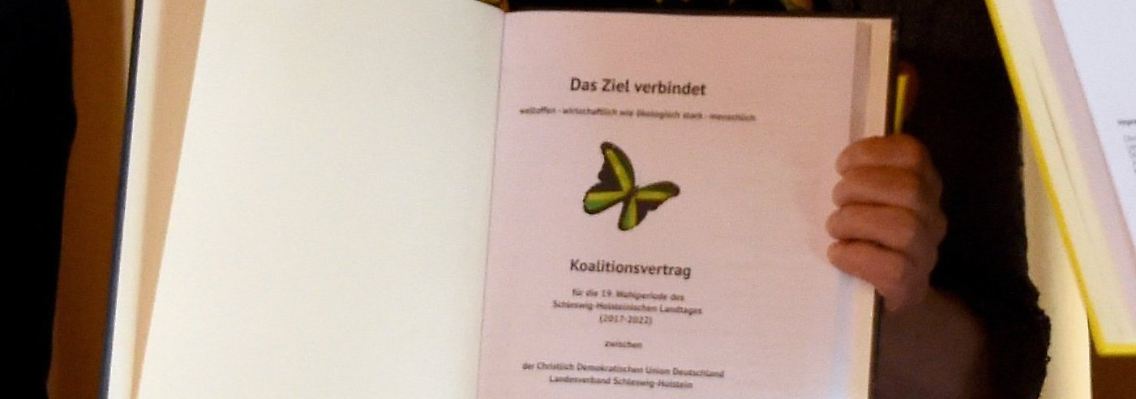Dieses Stück Verhandlungsarbeit kommt auch bei der Grünen-Basis an.