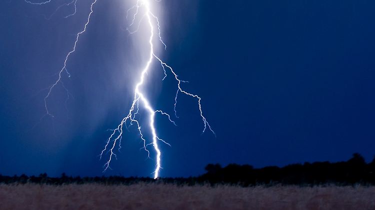 Blitzschlag ist nicht die einzige Gefahr, die einem im Wald bei Gewitter droht.