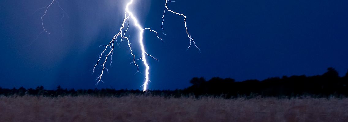 Blitzschlag ist nicht die einzige Gefahr, die einem im Wald bei Gewitter droht.