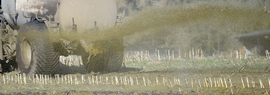 Nach Jahren der Fremdnutzung seiner Wiese durch Badegäste platzte dem Bauern der Kragen.