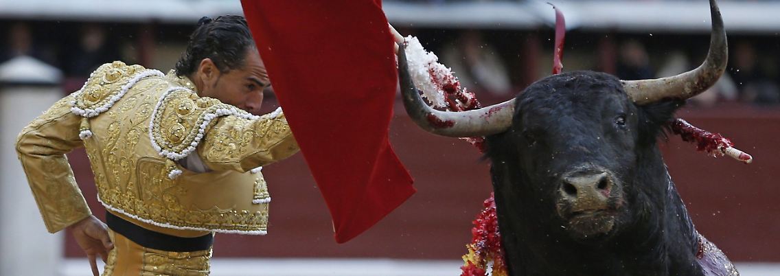 Der spanische Torero Ivan Fandiño starb bei einem Stierkampf.
