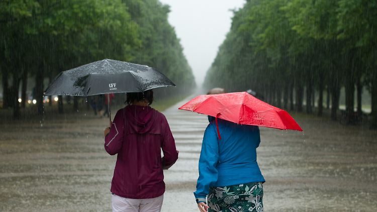 Das nasse Wetter am Donnerstag wird kurz vor dem Wochenende schnell wieder vertrieben.