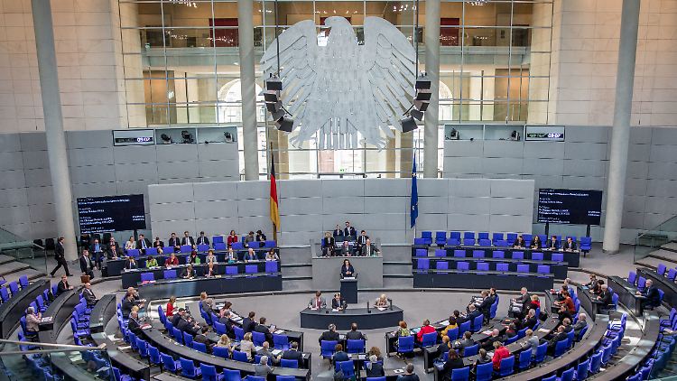 Die Opposition ist klein im Bundestag - und hat deshalb Nachteile.