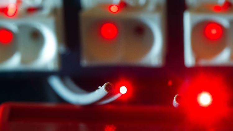 Bis spätestens 2025 soll es in ganz Deutschland Gigabit-Verbindungen geben.