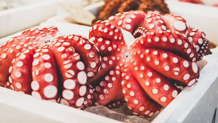 Jedes erdenkliche Meeresgetier, das in Restaurants auf Tellern landet, fndet sich in einer der mit Eis gefüllten Styropor-Kisten.