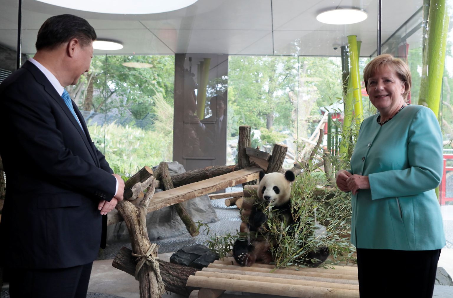 Hoher Besuch im Berliner Zoo: Hinter Chinas Staatspräsident Xi Jinping und Kanzlerin Angela Merkel ist einer der neuen Pandas in seinem neu eröffneten Zuhause zu sehen.