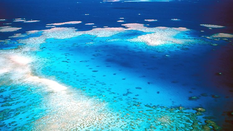 Australien will bis 2050 das Ökosystem des Great Barrier Reefs besser schützen.