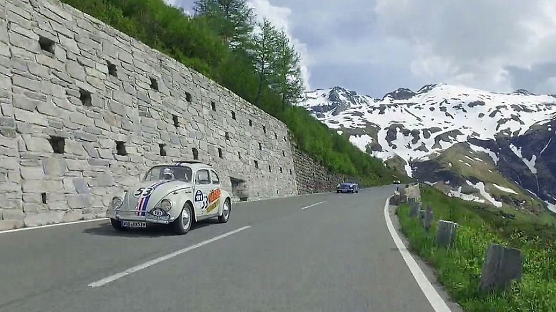 HerbieAmGroßglockner.jpg