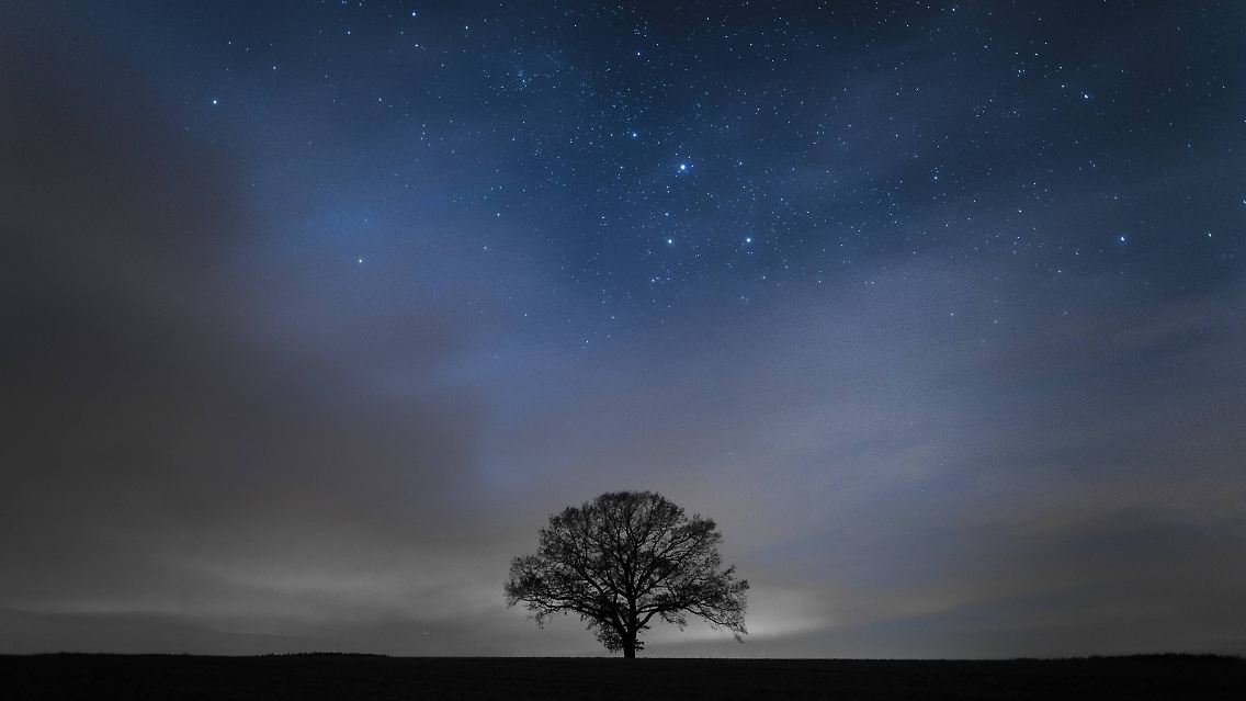 Möge Ihre Nacht so friedlich sein wie die dieses Baumes in Sachsen.