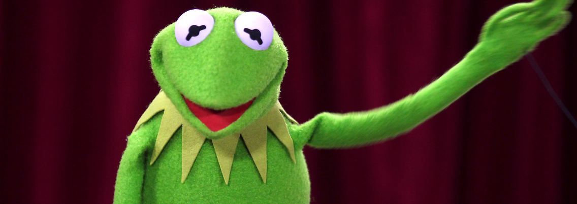 Was wohl Kermit darüber denkt?