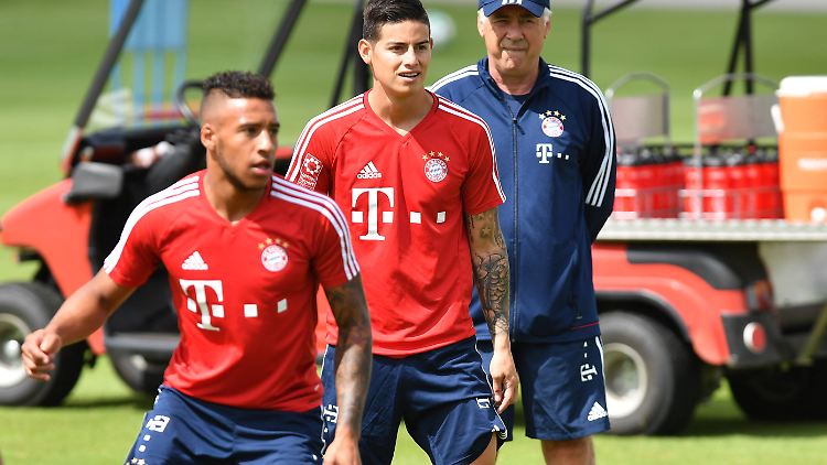 Ein bisschen stolz auf seine Neuzugänge wirkt Bayern-Coach Ancelotti jetzt schon.