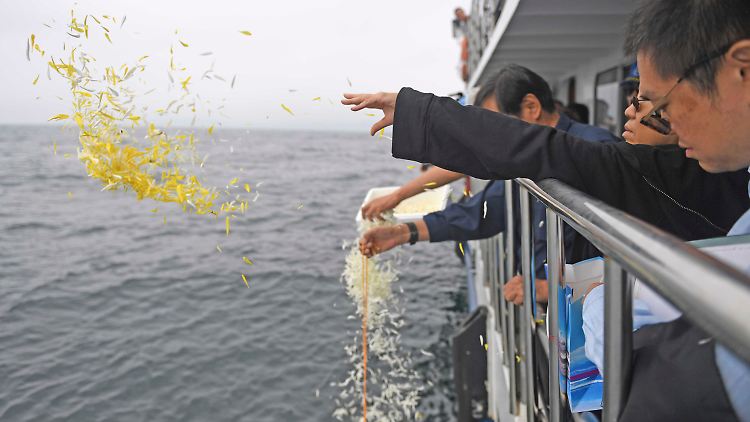 In diesem vom offiziellen Informationsbüro in Shenyang verbreiteten Foto werfen Angehörige von Liu Xiaobo anlässlich dessen Seebestattung Blütenblätter ins Meer.
