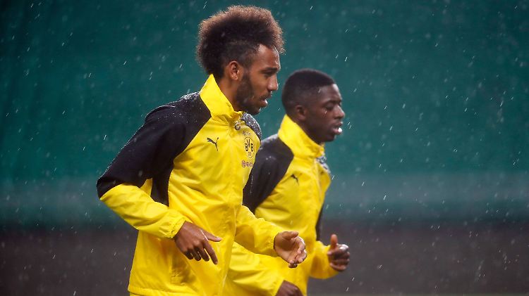 Pierre-Emerick Aubameyang wird auch in der kommenden Saison in Schwarzgelb spielen.