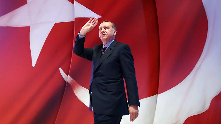 Der türkische Präsident Erdogan strebt nach absoluter Macht, sagt Gülistan Gürbey.