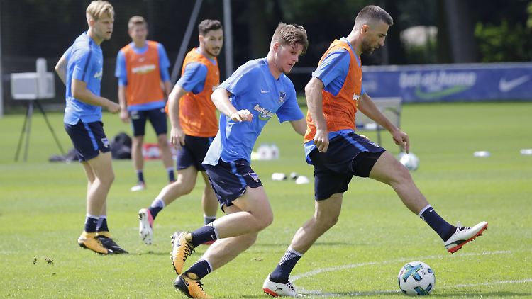 Bei Hertha BSC bestimmt Kapitän Vedad Ibisevic (r.), was mit dem Geld gemacht wird.