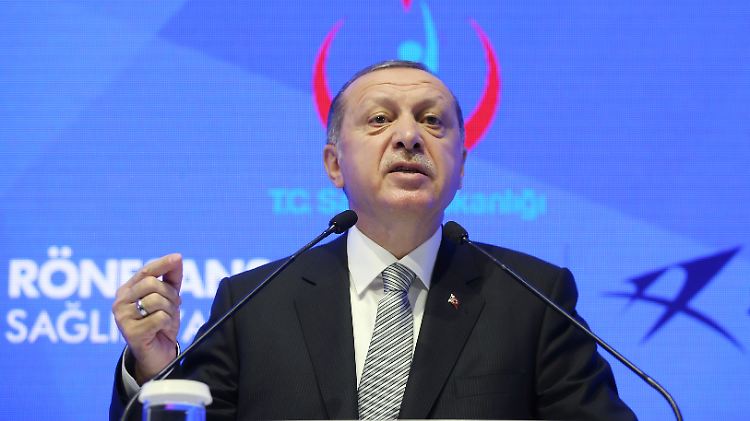 Die Türkei ist "ein demokratischer, sozialer Rechtsstaat", meint der türkische Präsident.