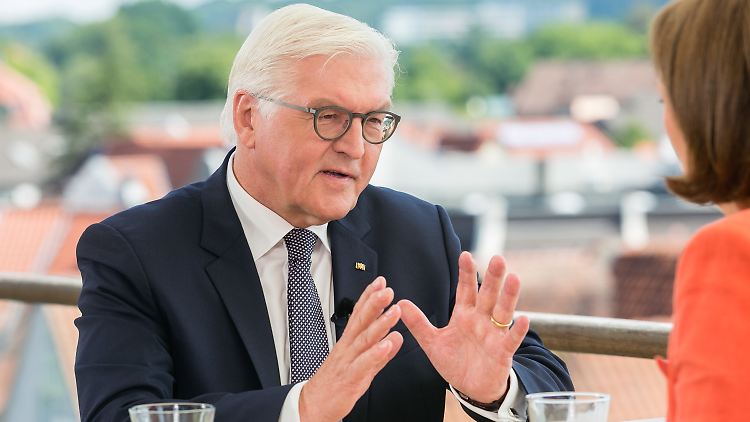 Steinmeier im ZDF-Sommerinterview.