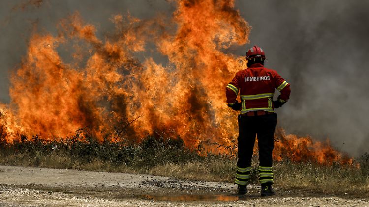 Erst im Juni wüteten schwere Waldbrände in Portugal.