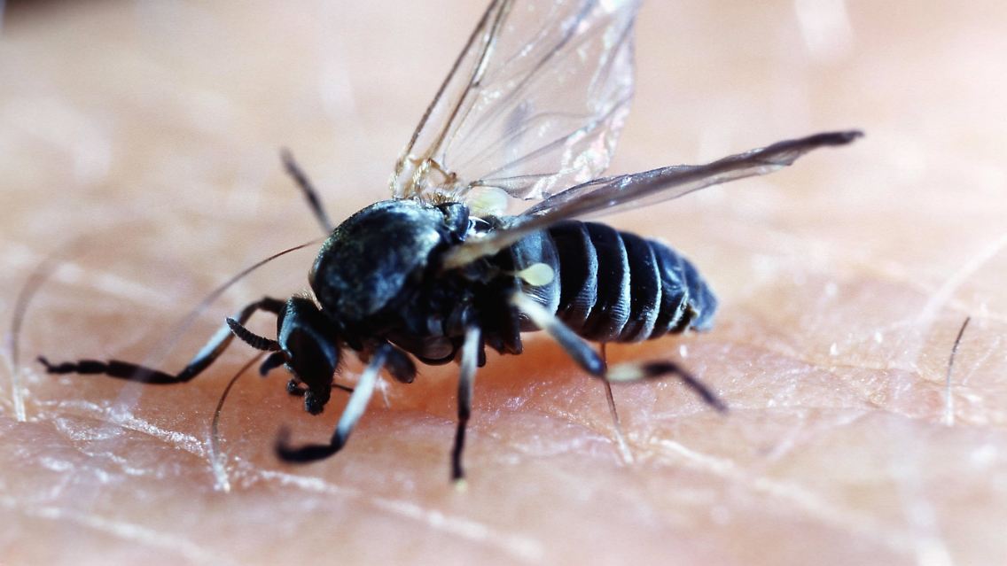imago56020805h.jpg