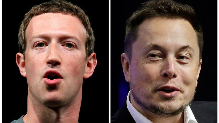 Mark Zuckerberg und Elon Musk sind selten einer Meinung