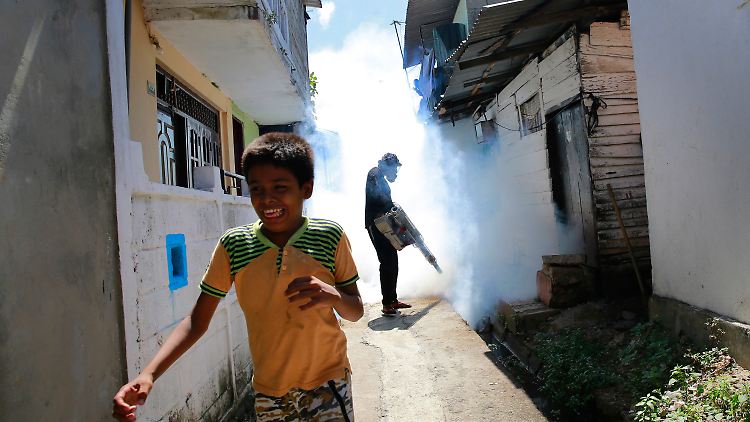 Ein Gemeindearbeiter desinfiziert zur Eindämmung des Denguefiebers eine Straße in Colombo (Sri Lanka).