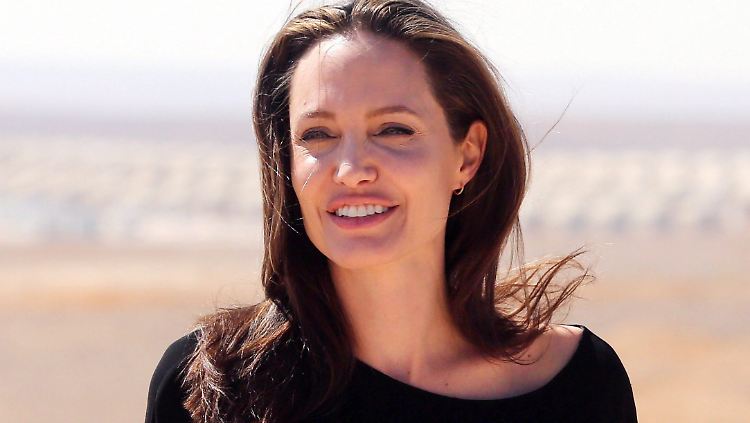 Hollywood-Star Angelina Jolie hat die Hausarbeit für sich entdeckt.