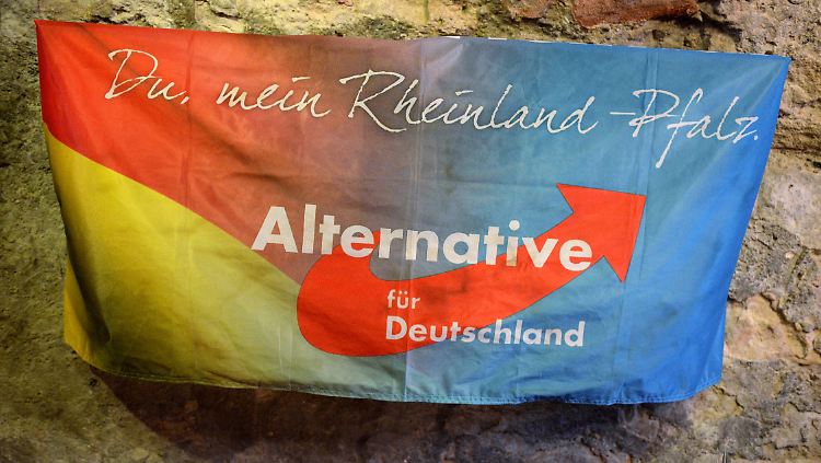 Bei der Aufstellung der AfD-Listen gab es viele Unregelmäßigkeiten. Zur Wahl antreten darf die Partei trotzdem.