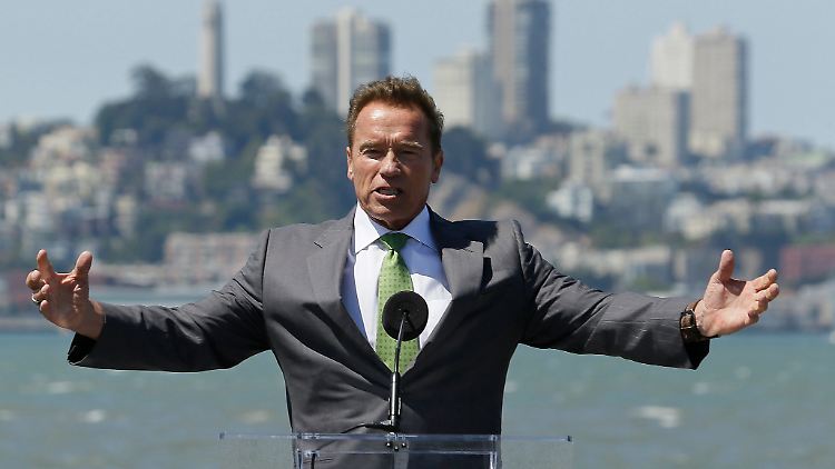 Bis um ein Uhr nachts sich vorm Kamin weitergebildet: Arnold Schwarzenegger.
