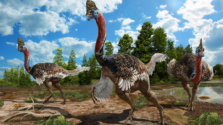 Grafische Rekonstruktion von Corythoraptor jacobsi.